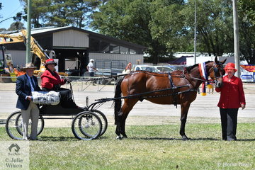 The Blakeley Family's, 'Flemington Benny won the classes for Standardbred Driven in Traditional and Show Vehicle. Carolyn Blakeley is at the reins with Amanda Blakeley, catcher. Benny was declared Champion Standardbred in Harness and they are pictured with Standardbred judge, Ray Grubb.