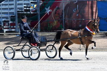 He can ride 'em and he can drive 'em. Today Chris Lawrie drove Anne Lindh and the Lawrie Group's, 'Hudson Wildcard' to claim the Hackney Pony Championship.