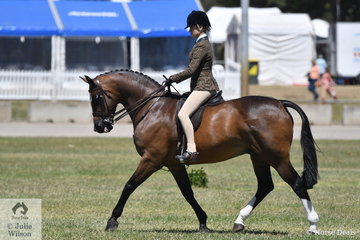 Isabella Tyson rode the Tyson Family's, 'Fremantle' to win the Child's Show Hunter Hack 15-16hh class and go on to claim the Child's Hunter Hack Reserve Championship.