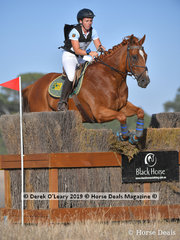"NEWHAM" ridden by Bronte Simpson in the CCN 2 Star Young Rider Class
