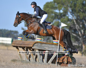 "KENDALEE QUANTUM LEAP" placed 5th in the CCN 2 Star ridden by Florence Goodwin with a final score of 41.70