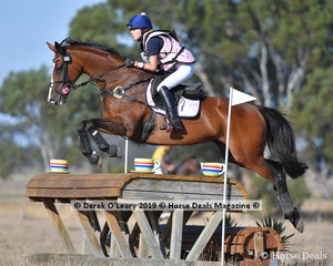 "LP JANVIER" placed 2nd in the CCN 2.5 Star ridden by Charlotte Curwen with a final score of 36.80