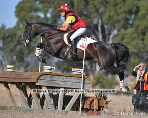 Delwyn Ogilvy placed 3rd in the CCN 2.5 Star riding "PRECIOUS DREAMS" with a final score of 37.50