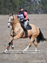 Winner of the EV65 "HUNTER" ridden by Racheal Keeton with a final score of 23.10