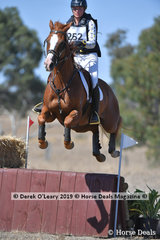 "YORKY" ridden by Sophie Fox in the EVA80 Section A