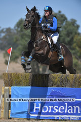 "CARISBROOKE SHOWTIME" ridden by Bronte Bravo in the EVA 95 Section A