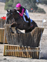"EQUINEAFFAIR MYSTIQUE" placed 2nd in the CCN 1 Star ridden by Madeliene O'Callaghan with a final score 33.80