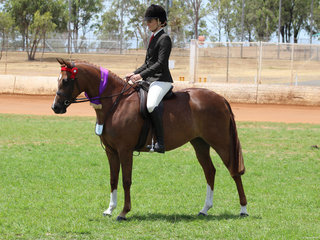 Champion Novice Derivative Lee Arnes Magestic Rose owned by Janine Woodall and ridden by Charlee Anthony