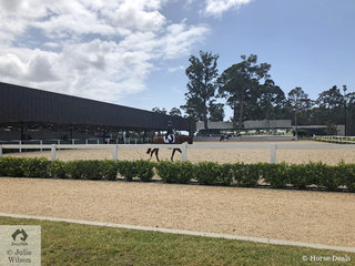 The wonderful warm up arena for the indoor.