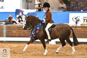Representing NSW Claudia Hughes rode Kim Glover's, 'Armani Park Robin Hood' to claim the Child's Small Show Hunter Pony Championship on day one of the 2019 Ego Sun Sense Australasian Show Horse and Rider Championships.