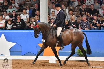 Representing NSW, Simon Deleeuw rode Leah Walsh's well performed, 'KP Royal Prince' to take out the Small Hack Runner Up award at the 2019 Ego Sunsense Australasian Show Horse and Rider Championships.