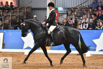 Riding for South Australia, Ty Zoontjens rode Tonia Sccaife's, 'DS Tulara Fursandro' by Furstenball to third place in the Small Hack Championship.