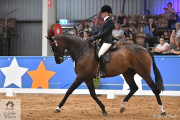 Former winner, Rebecca Farrow, riding for Victoria took the Runner Up award in the Rider Over 25 Years Championship on the final day of the 2019 Ego Sunsense Australasian Show Horse and Rider Championships.
