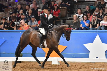South Australian rider, Margot Haynes had a busy class with two horses to ride for SA in the large Galloway Championship. She is pictured aboard her own, 'Westgrove Pageant Material' that took third place.