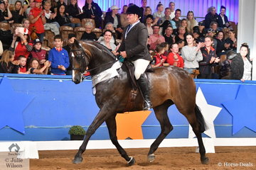 The always popular Paul Austin rode Carmen Jackson's, 'EBL Empress' by W Ellington to take third place in the Large Show Hunter Hack Championship.