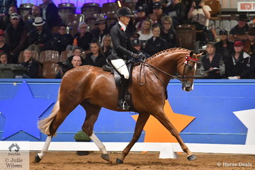 Representing South Australia, Kate Halliday rode her lovely, 'Kalimna Quick Hit' by Quaterhall to claim the 2019 Ego Sunsense Australasian Show Horse and Rider Championships Rider Over 25 Years Championship.