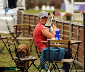 Watching the World Cup was Courtney Van Der Werf and her two four-legged companions Tyson the boxer and Sasha the whippet.