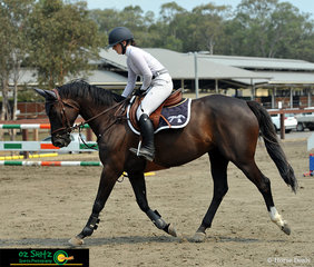 Warmblood mare Equus Hooroo received well deserved pats after finishing the Open 1.10m height class from rider Teigan Matthews at the 2019 Sydney Summer Classic.