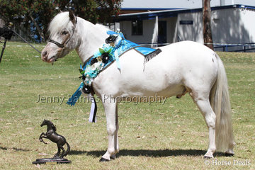 I. Klingberg &H-Ros Dayl Mr Majestic