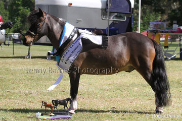 I. Klingberg & H-TPH Flashdance