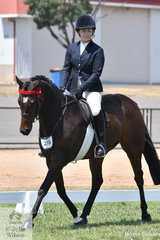 Sarina Quick is pictured abaord her First Season 15-15.2hh Hack, 'Cleopatra's Special Agent'.