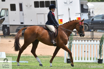 Tanya Morham's, 'Under The Radar' is pictured during the Over 16.2hh section of the Rising Star Hack Championship.