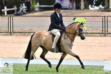 Brittany Jubb and Julia Grave's impressive and good moving, 'Zilarah Park Elusive' was declared Reserve Rising Star Small Pony.