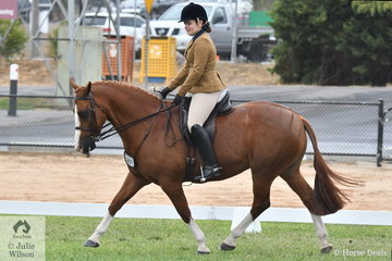 Olivia Webster and, 'Boston Sunrise' made the Top Five in the Show Hunter Galloway Championship.