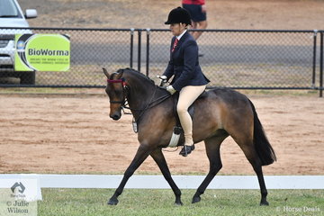 Sally Miller rode her own and Nancy Miller's home bred, 'Wyoming Park Warrack' to make Top Five in the Open Large Pony Final.