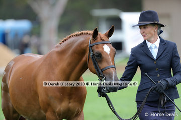 Emma Nichol showed "Monto Cristo V" in the Led Large Hunter Pony 