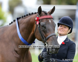 Winner of the Led Off The Track Hack, Sophie Fox and "Ascot"