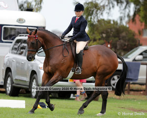 Brooke Sweeney placed 2nd in the Ridden Newcomer Large Hack riding "Amber Cavalier"