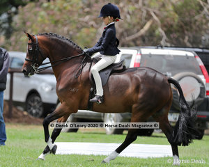 Taylor Shute placed 2nd in the Rider 9 years and under 12, riding "Cimeron Poprock"