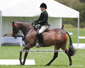 Kurt Crowther rode "DP Playboy" placing 2nd in the Ridden Small Hack