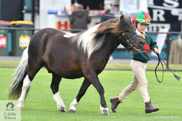 Five year old Milla Loughnan led her, 'Jake' to third place in the class for Best Handler Seven Years and Under.