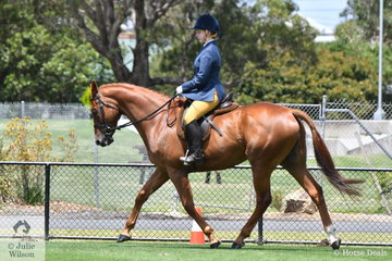 Sianan Price rode, 'Essjaykay' to win the class for Local Ridden Horse Over 15hh.