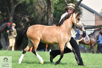 Sheryle Smith's, 'Dreikronen Clover' won the class for WMP Yearling Filly and went on to be declared Reserve Champion WMP Filly at the 2020  WP&CS Gippsland and Regional Promotional Group Youngstock and Performance Show.
