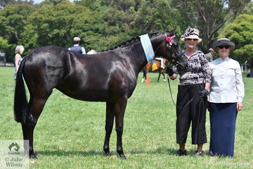 Successful breeder, Melanie McGuire is pictured with her, 'Ascot Party Princess' (Ascot Classic Silk/Burren-Dah Party Girl) that was declared Supreme Champion Led Part Welsh. They are pictured with judge, Sabina Helmgens from NSW.