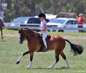 Class winner in the Small Show Hunter Pony ring "Rivington Little Red Corvette", ridden by Rubi Grubisa.