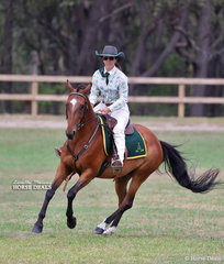 Georgia Neilson riding "Tocal Fontain" won the ASH Working Mare class.