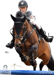 Amanda Leyshan from ACT rode Viva Unique in the Open 130cm Art. 238.2.1.