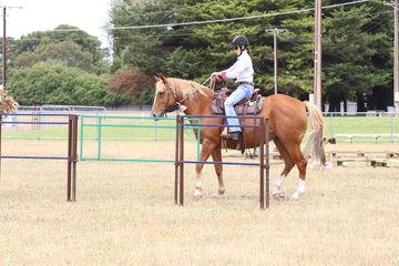 Amy Outram at the gate obstacle