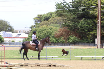 Emma Sagasser and Chester eyeballing the pony on a rope.