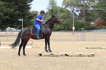 Jasmine successfully tackled the bridge in the Wanna Be section