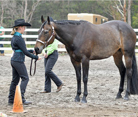 Allie Morgan showing Im Good N Lazy in the Junior Youth showmanship 5-13 years