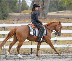 Pekara Deputy Dan and Alex Cruse, in the All Age Ranch Riding feature.