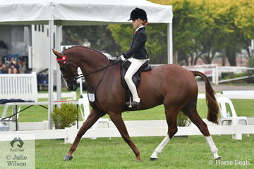 Mia Heinrich rode 'Wynara Illusion' to take sixth place in the Peter Gahan Trophy on day one of the 2020 Victorian Barastoc Horse of the Year Show.