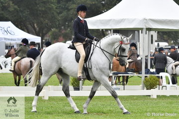 Harrison Postill rode, 'Batavia' to take second place in the Peter Gahan Trophy.