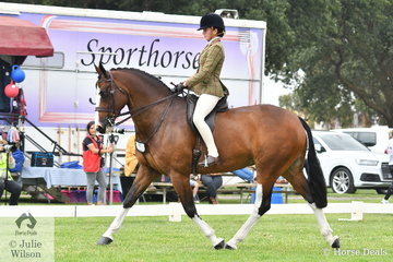 Kiana Addison is pictured aboard Brian Scholes' super, 'A Welcome Stranger' during the class for Child's Small Show Hunter Hack.