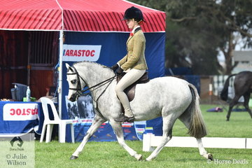 Charlee Cartledge rode Taylah Spiteri's, 'Bamborough Caromba' to make Child's Small Show Hunter Pony Top Ten.